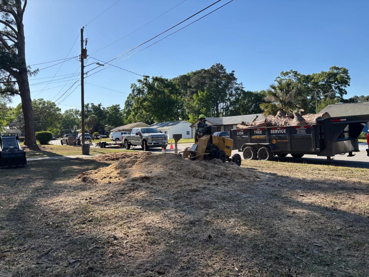 Lion Tree Service and Landscaping LLC project photo 29